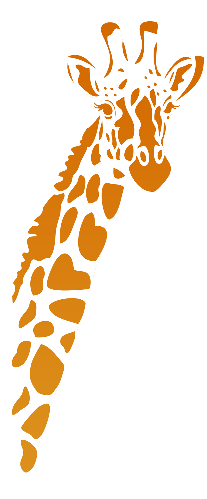 girafe Daphnée WEB Ok